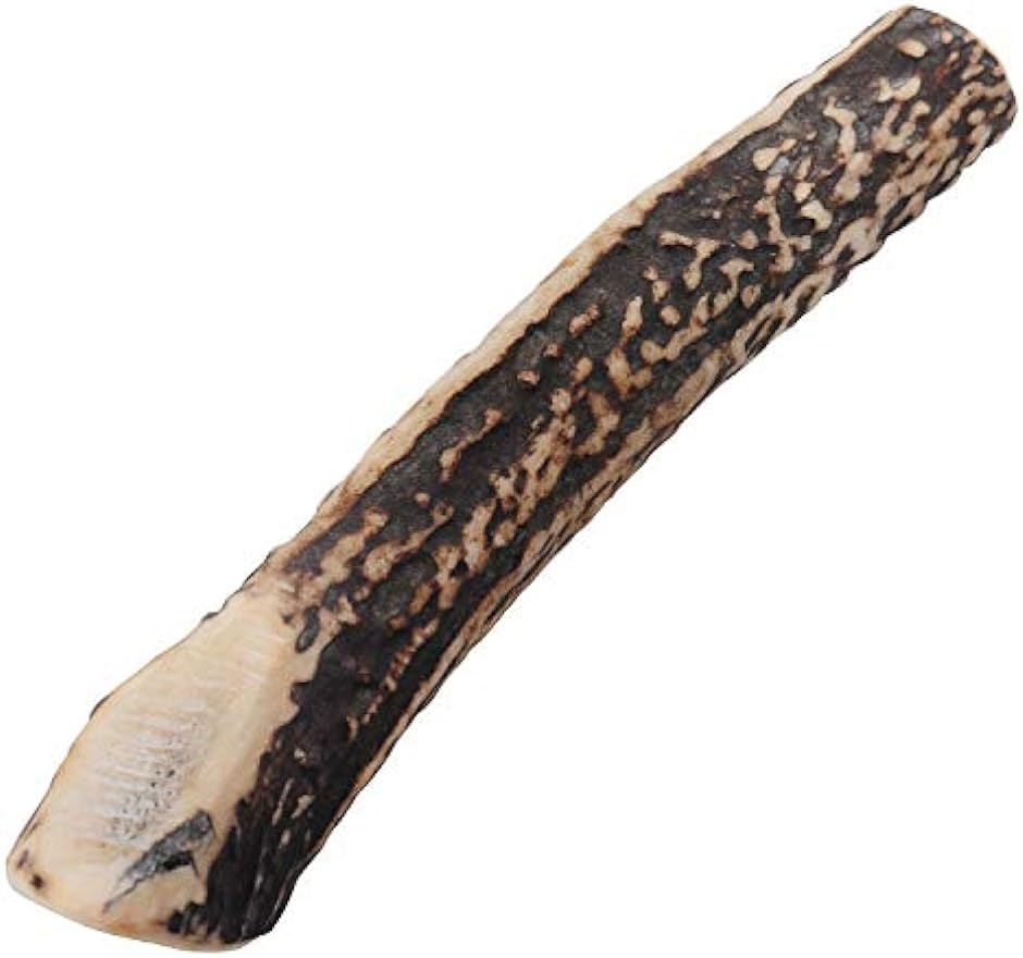 ̊p   Y  G]WJ Y K f^PA ^ 15cm( ^ 15cm)