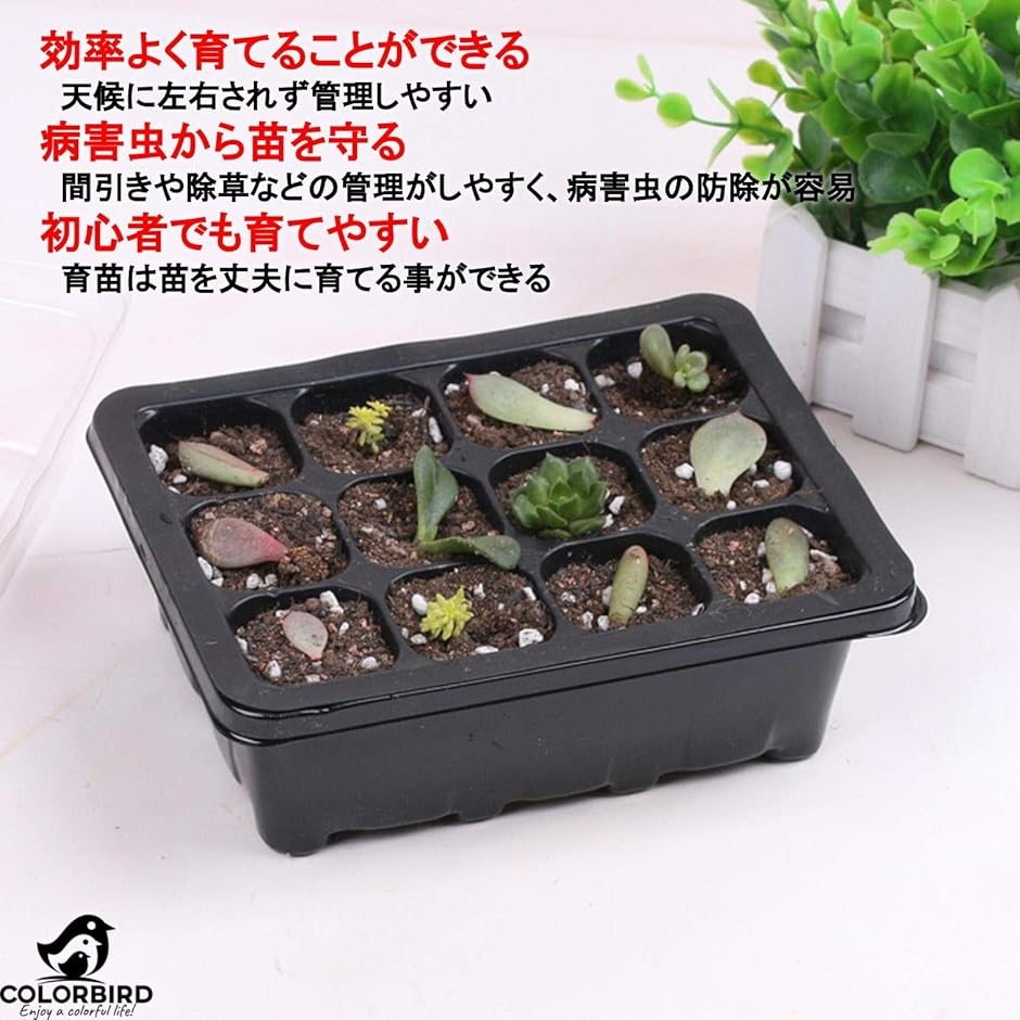 種まきポット 12穴 3セット 花 苗 ハーブ...の詳細画像5