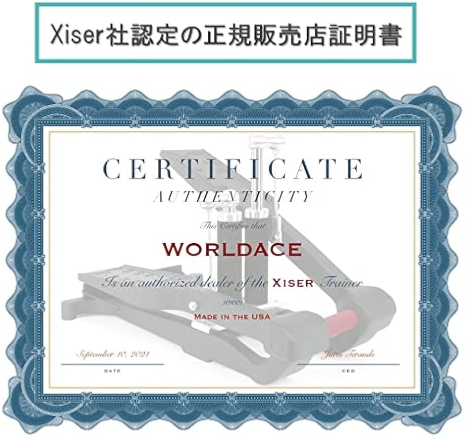 エクサー プロ ステッパー Pro Trainer WORLDACE (エクサー