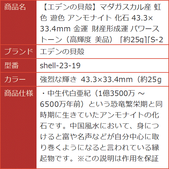マダガスカル産 虹色 遊色 アンモナイト 化石 43.3x33.4mm 金運 財産