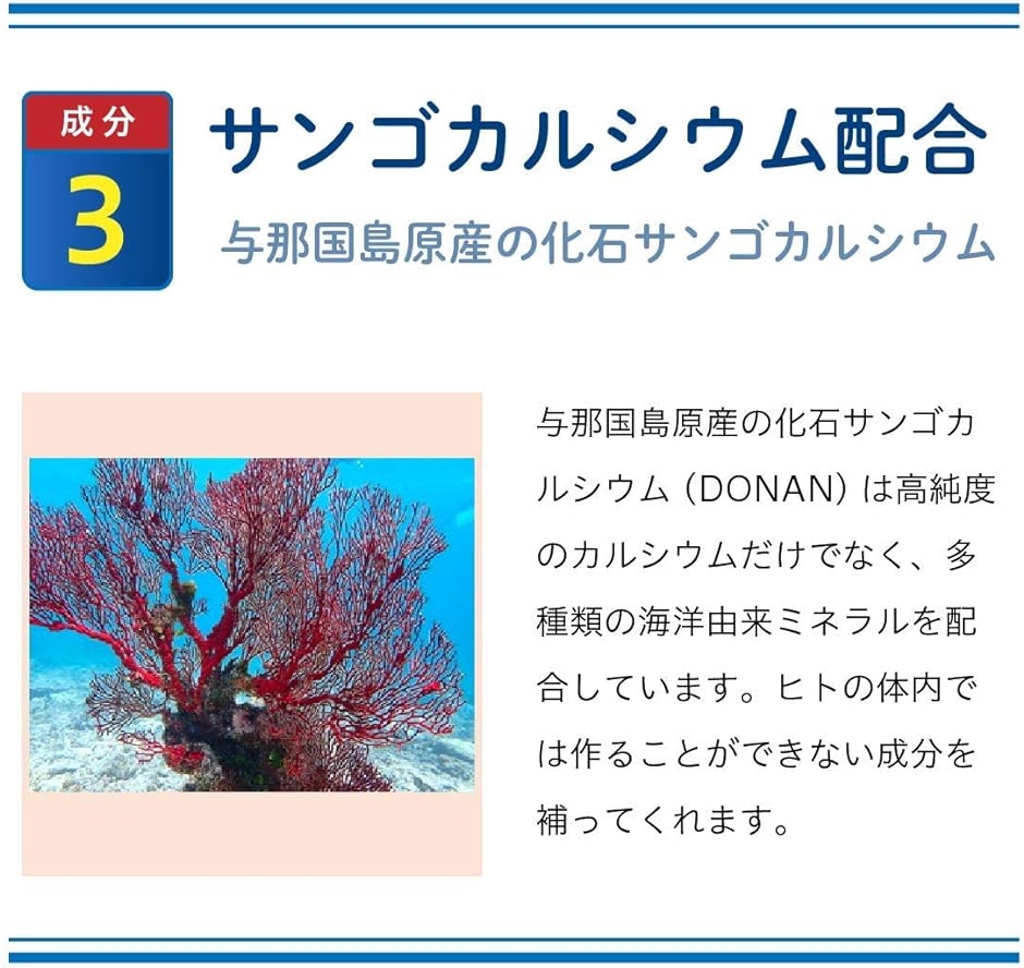 プロテオグリカン サプリメント II型コラーゲン複合体 30日分 サンゴカルシウム ビタミンB ビタミンD ビタミンE 配合