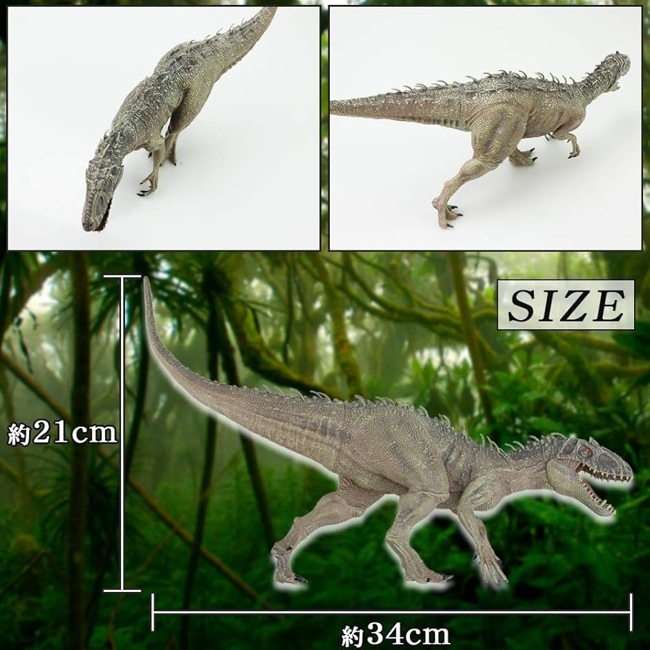 恐竜 フィギュア リアル 模型 ジュラ紀 30cm級 爬虫類 迫力 肉食 子供玩具 インドミナスレックス｜horikku｜02