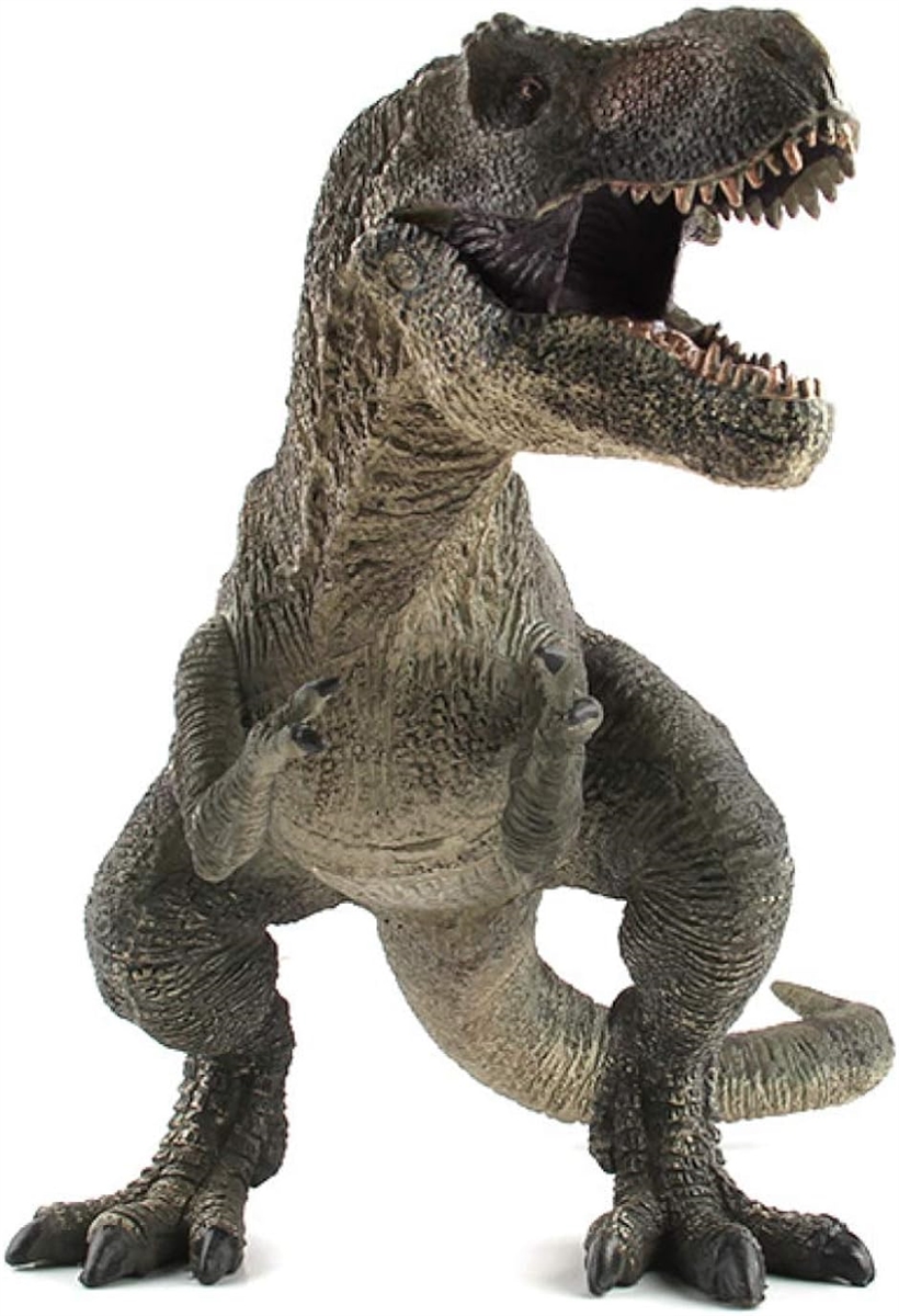 Tレックス 恐竜 フィギュア リアル 模型 ジュラ紀 30cm級 爬虫類 迫力 肉食 子供玩具 プレゼント ディスプレイ｜horikku