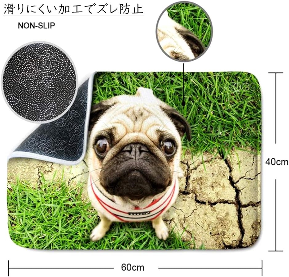 玄関 マット パグ 見上げる わんこ ワンちゃん 犬 3D風 リビング ラグ