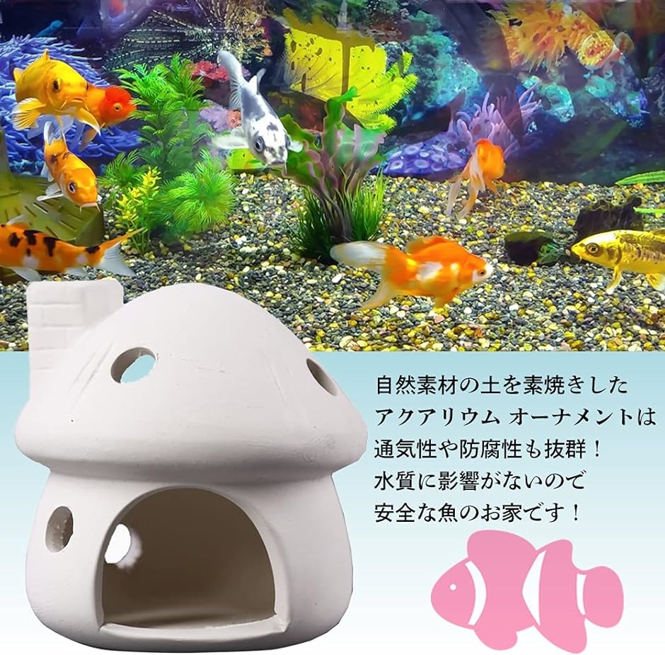希少！完売品！素焼き陶器の水槽
