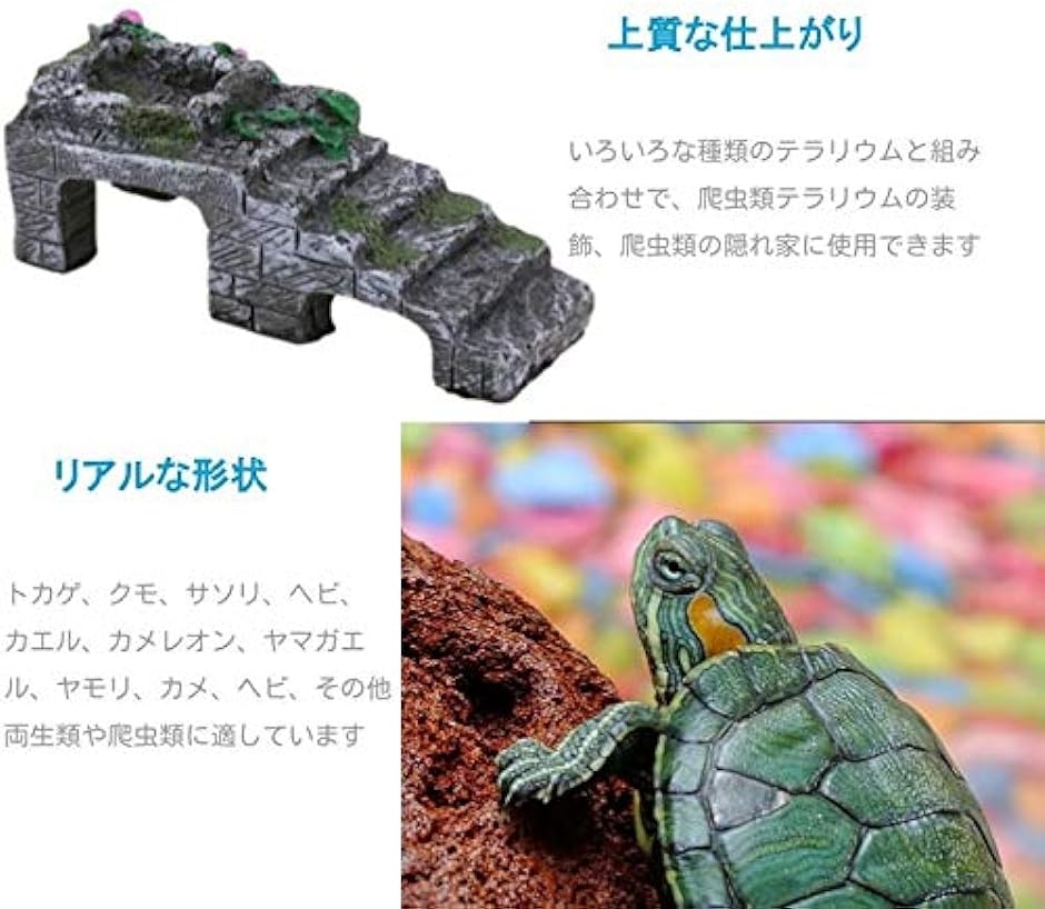 爬虫類シェルター 両生類 亀の家 乾燥プラットフォーム テラリウム( M)｜horikku｜04