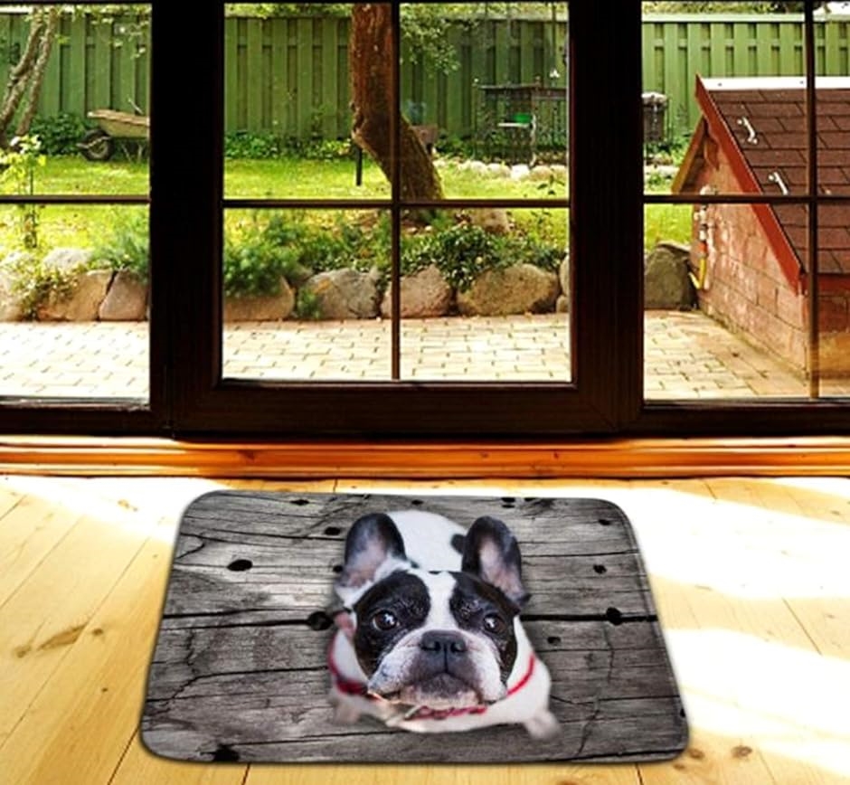 玄関 マット フレンチ ブルドッグ 見上げる わんこ ワンちゃん 犬