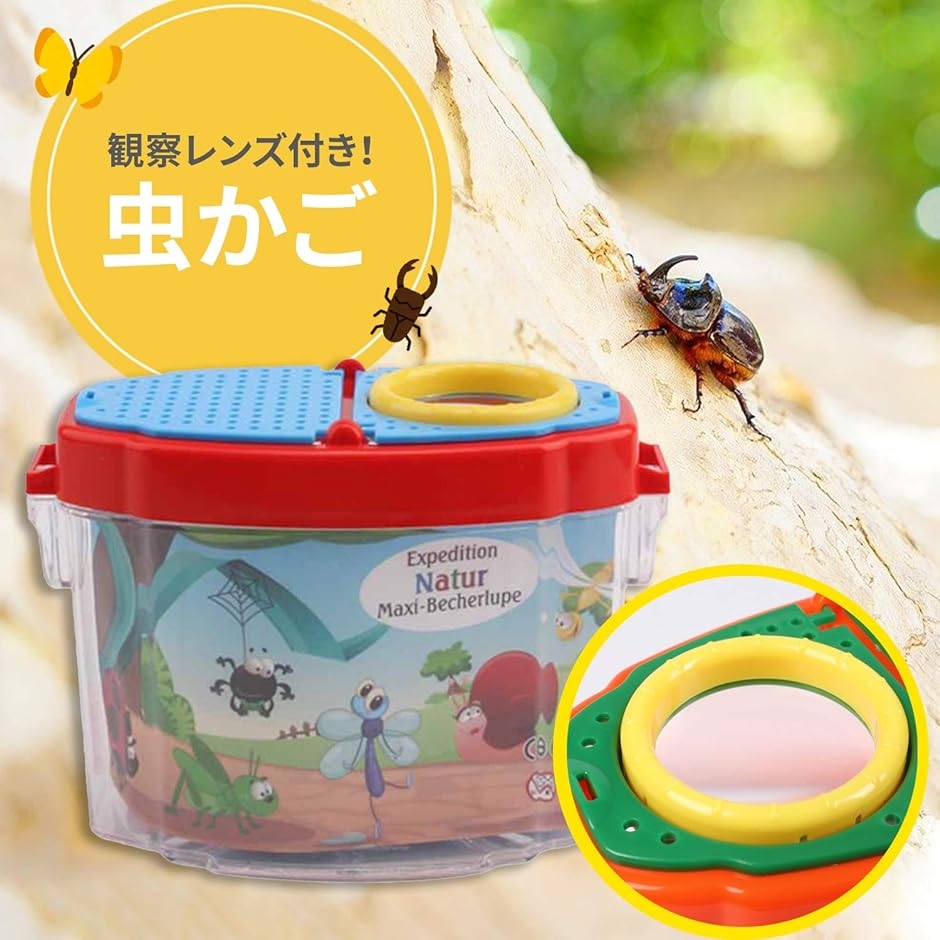 虫かご　飼育ケース　内箱付 楽天市場】虫かご 虫篭 虫籠 飼育ケース 昆虫 虫かご 飼育ランド