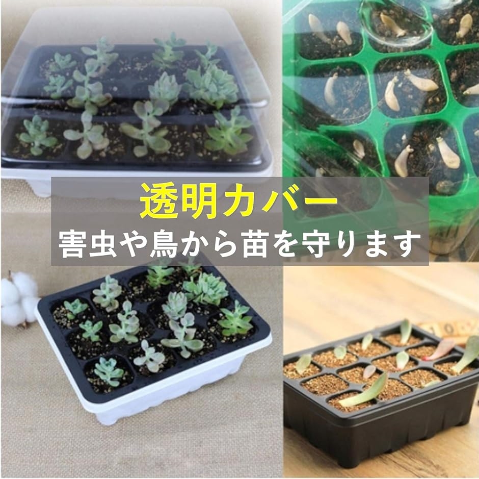 育苗ポット サイズ（植木鉢、プランター）の商品一覧｜園芸用品 | 花、ガーデニング 通販 - Yahoo!ショッピング