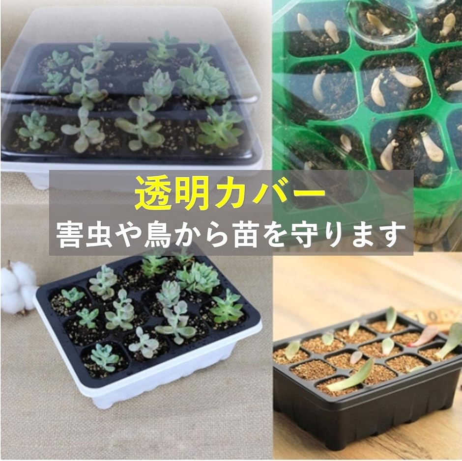 Leiasnow 種まきポット 3個入 育苗ポット 挿し芽 深い