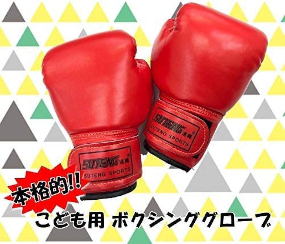 Gran Roi ボクシング グローブ キック ムエタイ 空手 格闘技 子供用