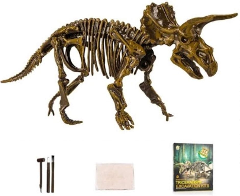 恐竜 発掘 化石 おもちゃ 恐竜の化石 プレゼント 骨 キット( トリケラトプス)