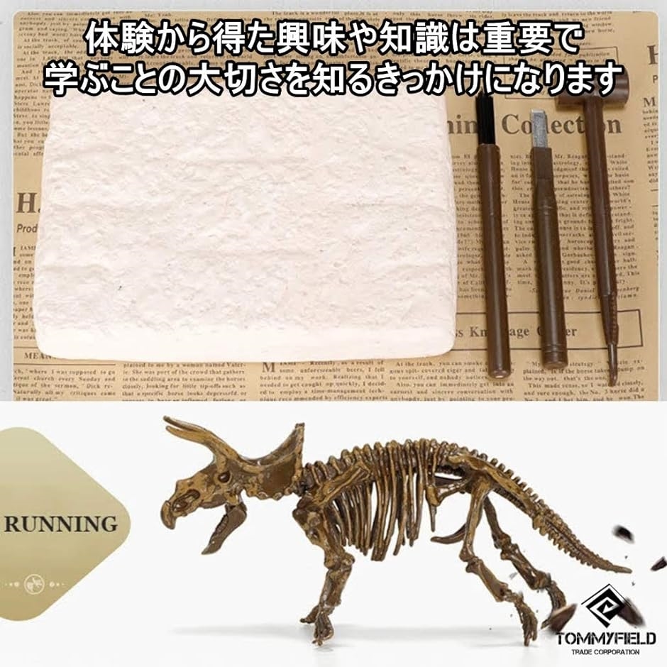 恐竜 発掘 化石 骨 おもちゃ プレゼント 子供 キット