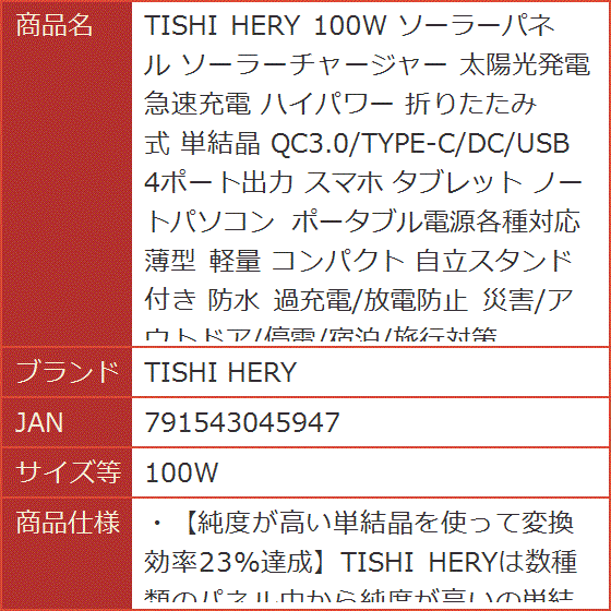 100W ソーラーパネル ソーラーチャージャー 太陽光発電 急速充電