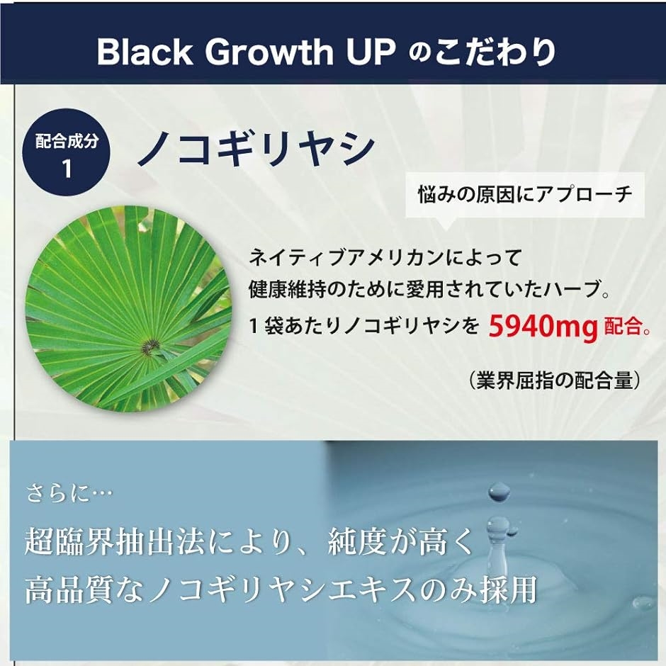 ノコギリヤシとケラチンを業界最大級に配合 Black Growth UP のこぎりやしサプリ 厳選21種の成分配合 90粒 1か月分 MDM｜horikku｜05