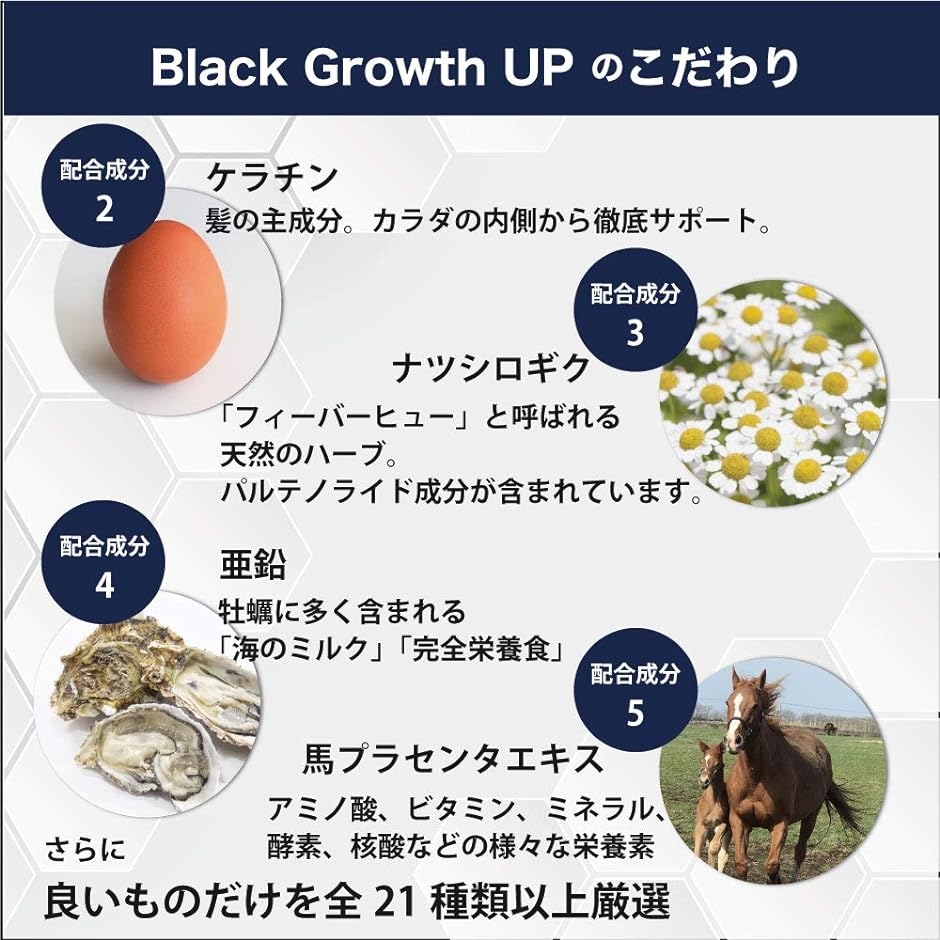 ノコギリヤシとケラチンを業界最大級に配合 Black Growth UP のこぎりやしサプリ 厳選21種の成分配合 90粒 1か月分 MDM｜horikku｜06