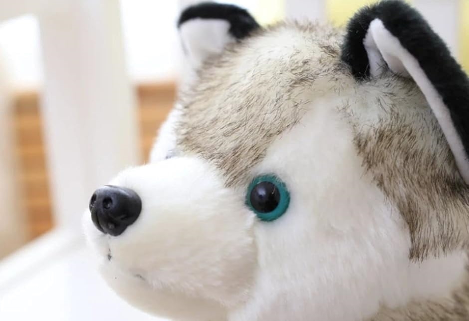ハスキー 犬 小さい ぬいぐるみ ブルーアイ かわいい 人形 ギフト 贈り物( 24cm)｜horikku｜02