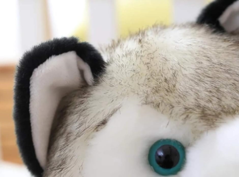 ハスキー 犬 小さい ぬいぐるみ ブルーアイ かわいい 人形 ギフト 贈り物( 24cm)｜horikku｜06