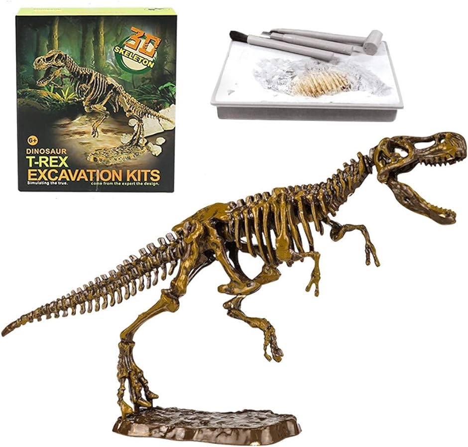 恐竜化石発掘 おもちゃ 発掘キット 恐竜の骨 T. rex｜horikku
