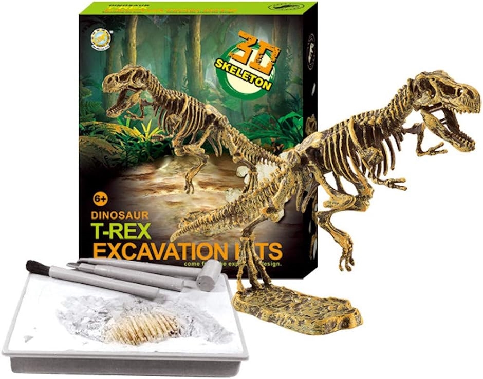 恐竜化石発掘 おもちゃ 発掘キット 恐竜の骨 T. rex｜horikku｜02
