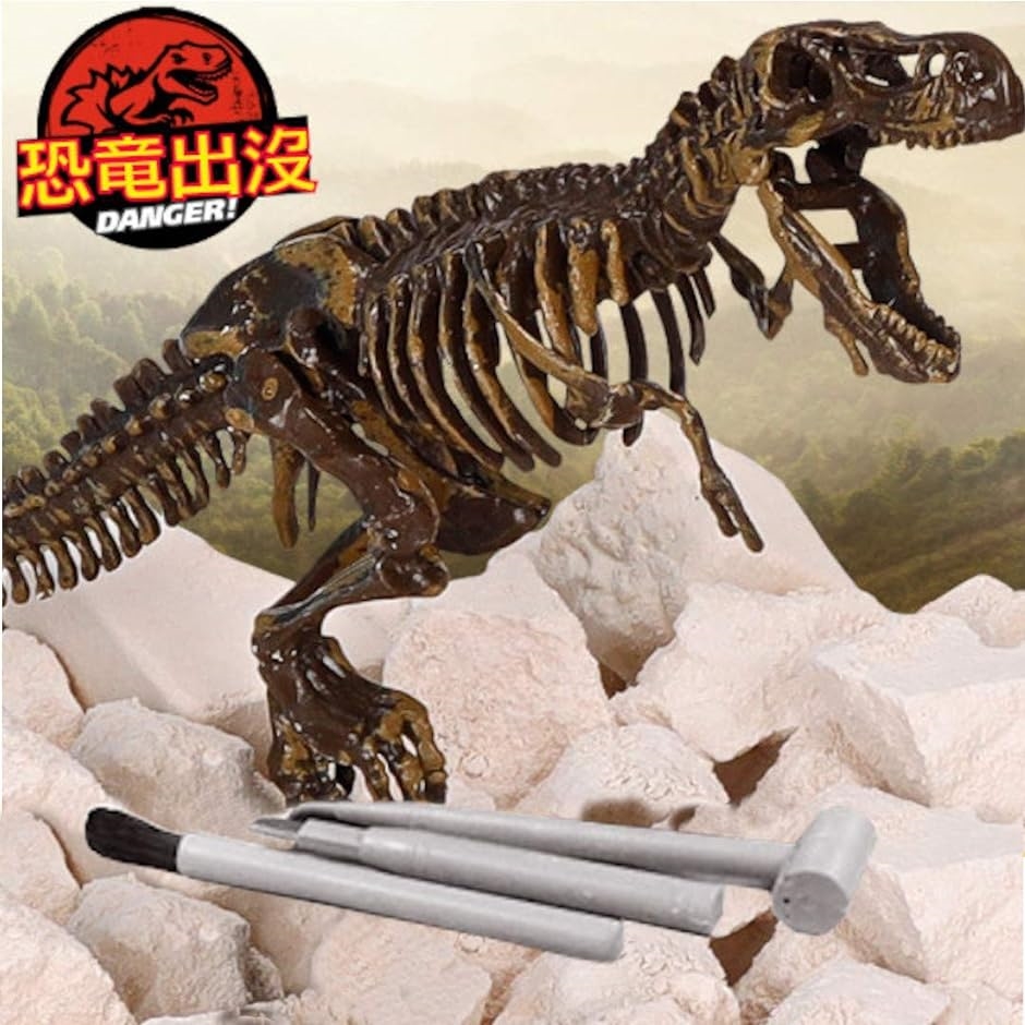 恐竜化石発掘 おもちゃ 発掘キット 恐竜の骨 T. rex｜horikku｜03
