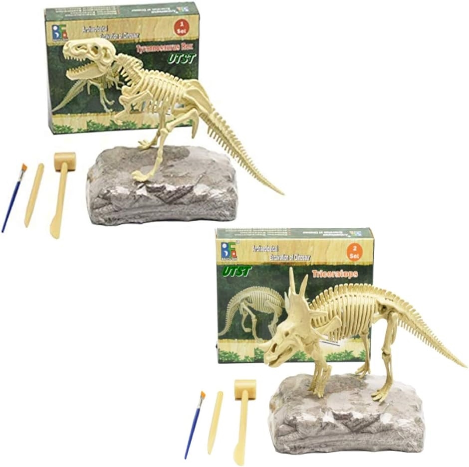 恐竜 化石発掘キット おもちゃ 発見学習セット 2個セット TRex＋Styracosaurus｜horikku