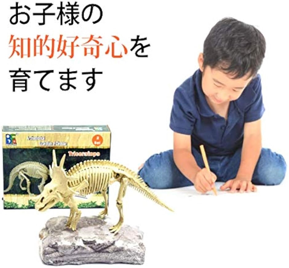 恐竜 化石発掘キット おもちゃ 発見学習セット 2個セット TRex＋Styracosaurus｜horikku｜04