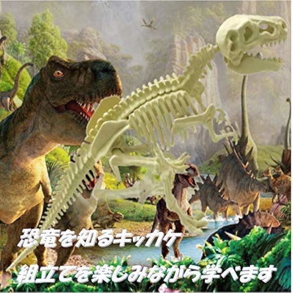 恐竜 化石発掘キット おもちゃ 発見学習セット 2個セット TRex＋Styracosaurus｜horikku｜05