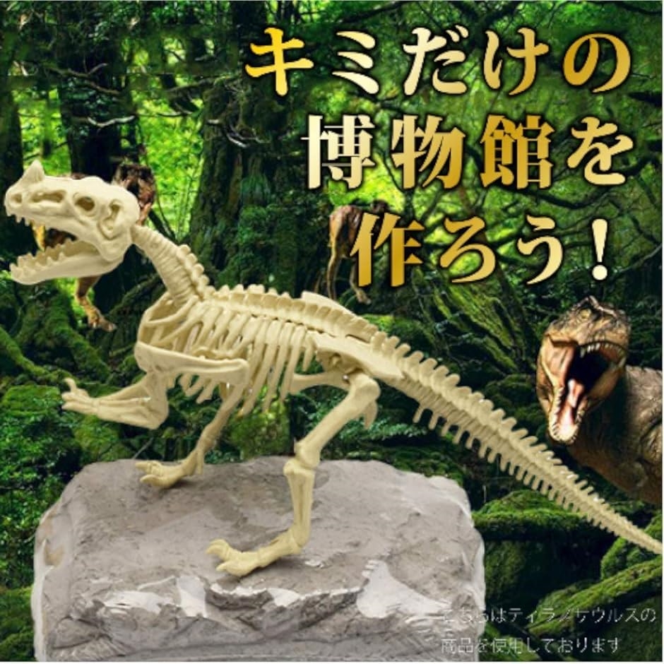 恐竜 化石発掘キット おもちゃ 発見学習セット 2個セット TRex＋Styracosaurus｜horikku｜06