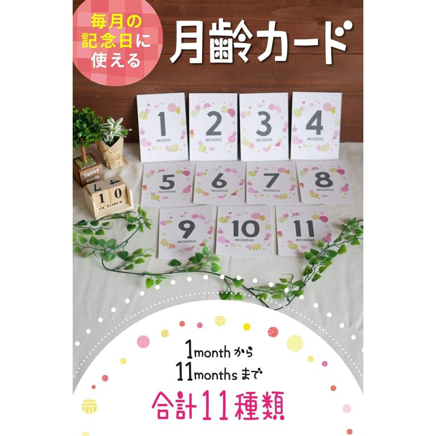 月齢フォト カード マンスリーカード 24面12枚 赤ちゃん 写真( Pattern_girl)｜horikku｜02