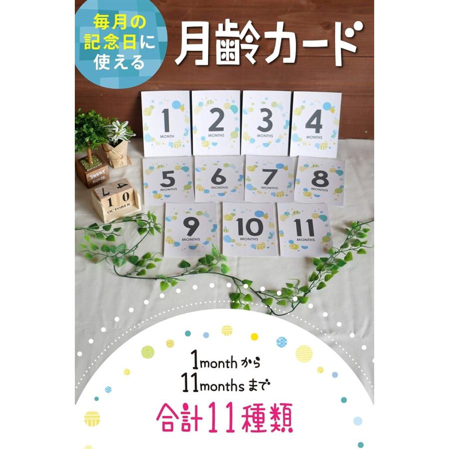 月齢フォト カード マンスリーカード 24面12枚 赤ちゃん 写真( Pattern_boy)｜horikku｜02