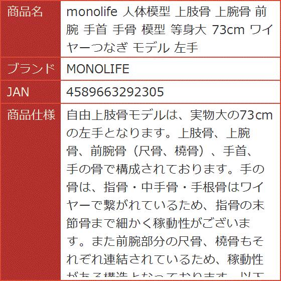 人体模型 等身大（模型、プラモデル）の商品一覧 | ゲーム、おもちゃ