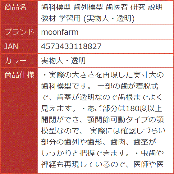 模型を見る 模型を読む 萌出から歯列完成まで長期採得模型で読み解く歯列と不正咬… 模型を見る 模型を読む 萌出から歯列完成まで長期採得模型で