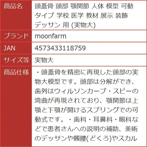 頭蓋骨模型 模型の商品一覧 通販 - Yahoo!ショッピング