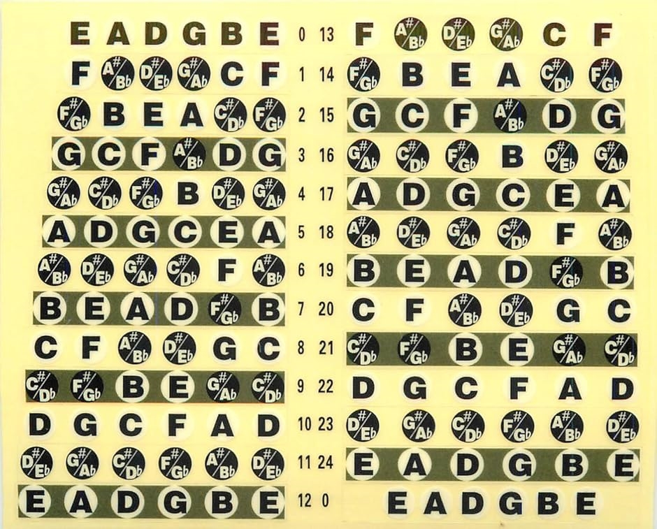 XP�f�U�C�� �M�^�[ �w�� ���K �t���b�g �V�[�� �X�e�b�J�[ �X�P�[�� �M�^�[�R�[�h �M�^�[�w�V�[�� �u���b�N(�u���b�N ���F)