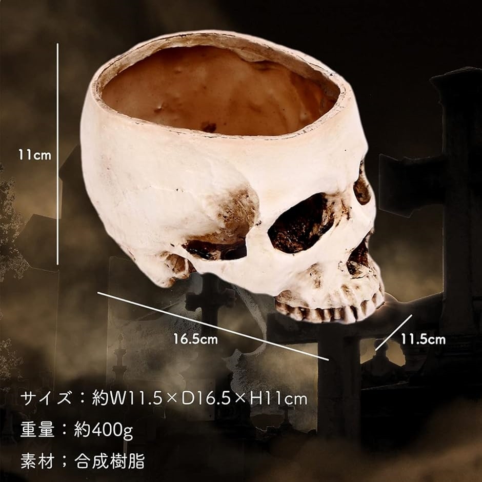 ガラ空き ドクロ 小物入れ 卓上 リアル 頭蓋骨 骸骨 ガイコツ