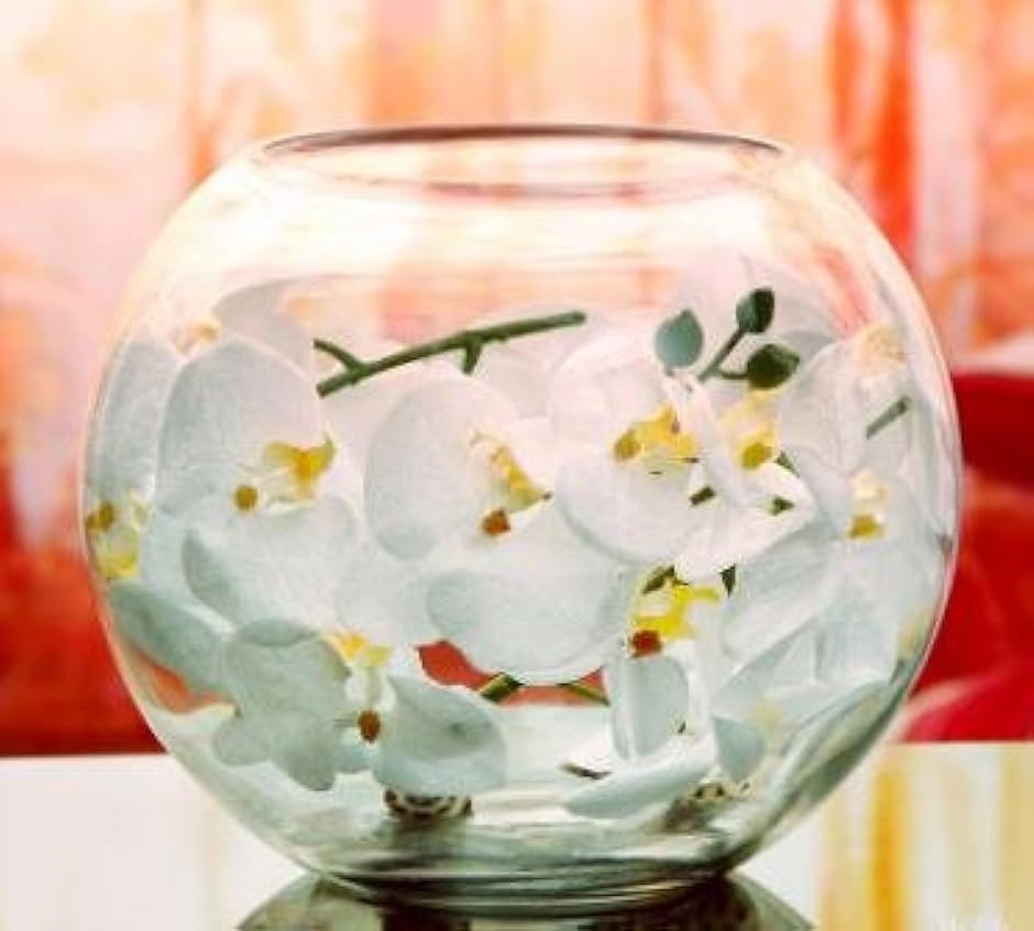 ガラス 丸型 水槽 大 テラリウム 観葉植物 インテリア アクアリウム 金魚鉢 にも( ２２ｃｍ)