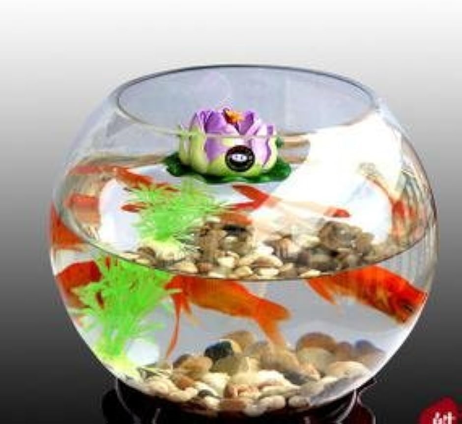 ガラス 花瓶 テラリウム 観葉植物 インテリア アクアリウム 金魚鉢 に