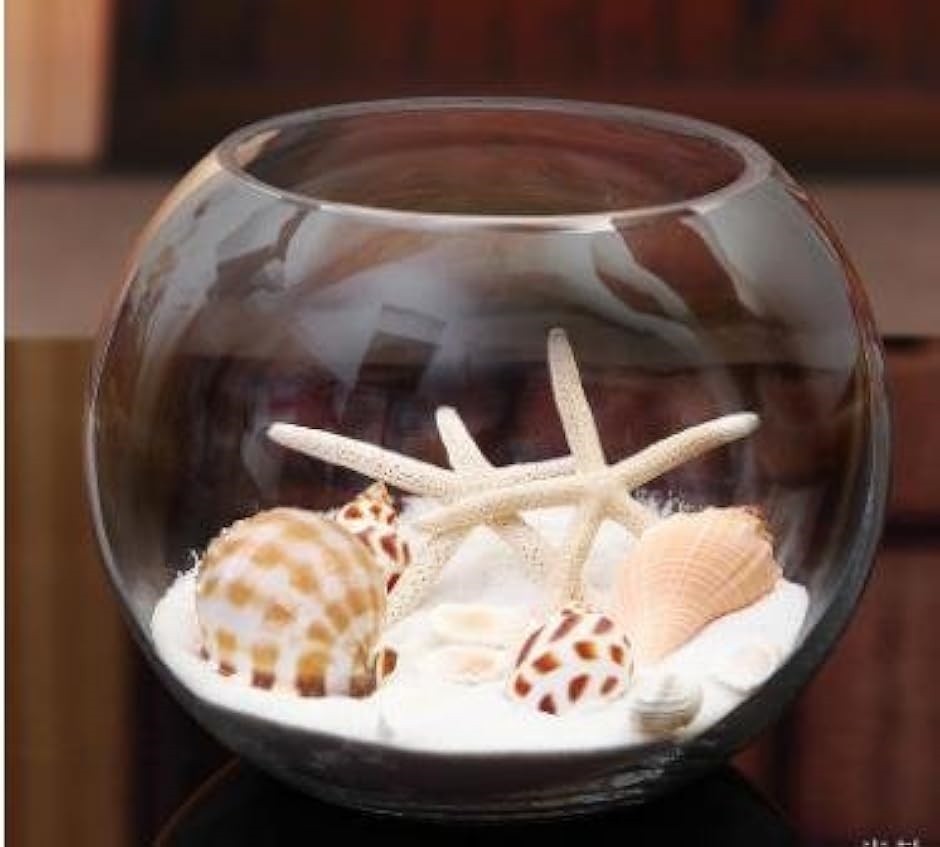 ガラス 花瓶 テラリウム 観葉植物 インテリア アクアリウム 金魚鉢 に