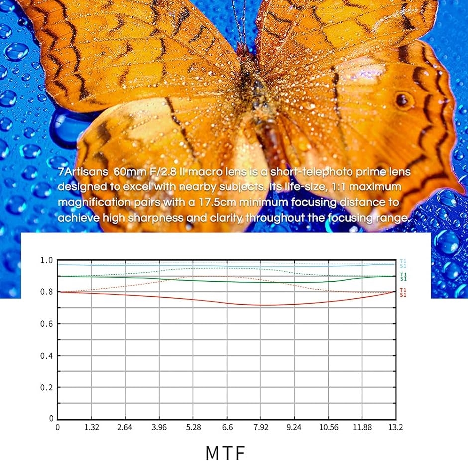 60mm F2.8 II マクロレンズ APS-Cサイズ カメラ交換レンズ 手動式