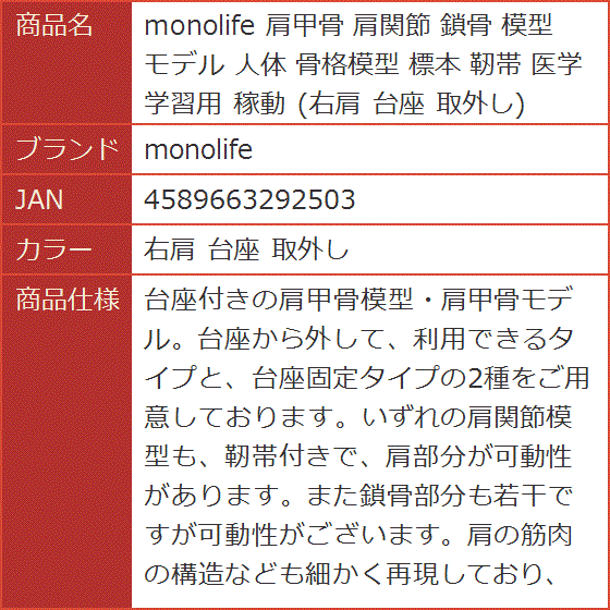 肩関節 模型の商品一覧 通販 - Yahoo!ショッピング