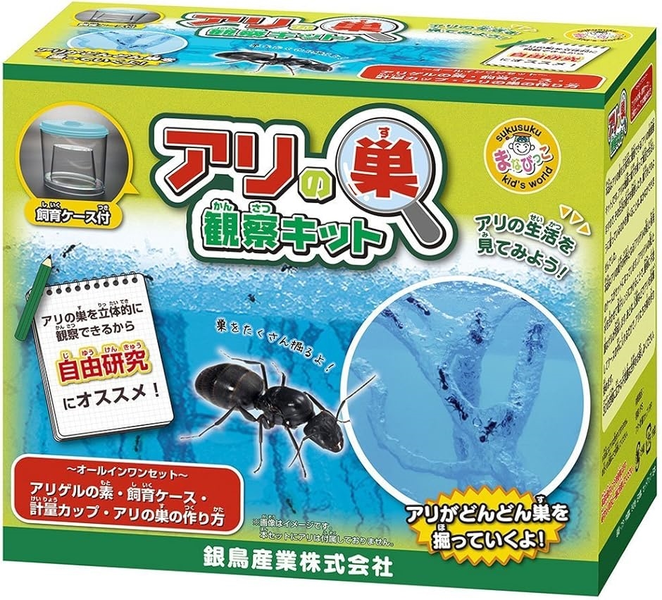 銀鳥産業 アリの巣観察キット MA-AKD(CTN単位（24個）) : スピード発送