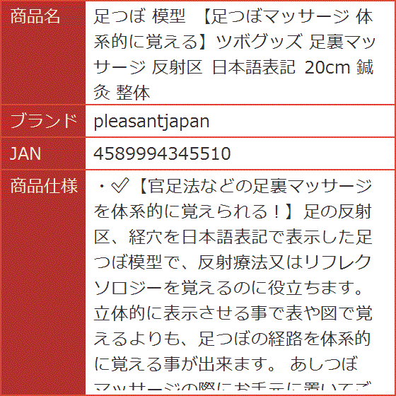 足つぼ 模型 足つぼマッサージ 体系的に覚えるツボグッズ 足裏マッサージ 反射区 日本語表記 20cm 鍼灸 整体 : 2b8j8hulsg :  スピード発送 ホリック - 通販 - Yahoo!ショッピング