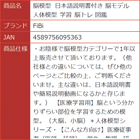 脳模型 日本語説明書付き 脳モデル 人体模型 学習 脳トレ 図鑑