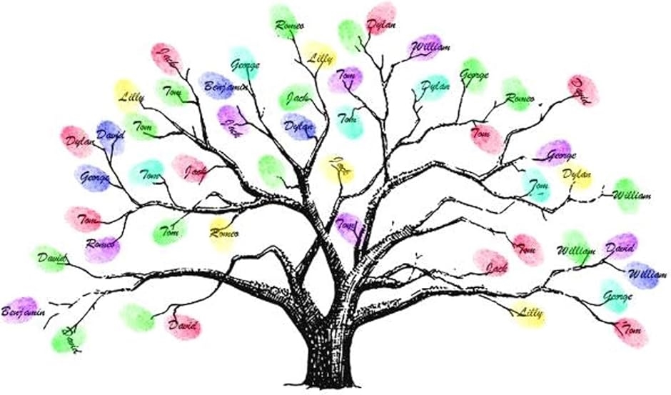 ǥ󥰥ĥ꡼ 뺧 ĥ꡼ Ű ̾  ȥ֥å 륫ܡ(ɥĥ꡼,  A3)