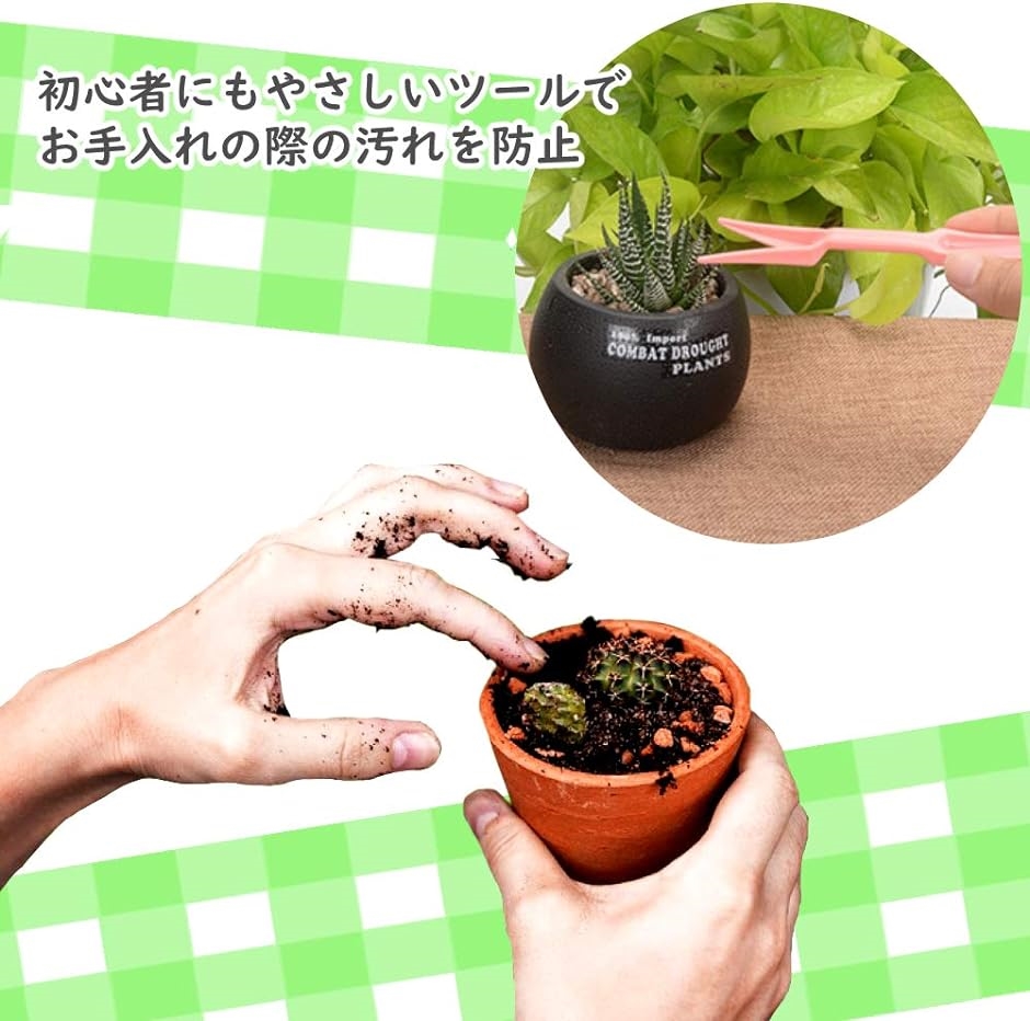 観葉植物 多肉植物 ガーデニング 植え替え ツール 道具 12個