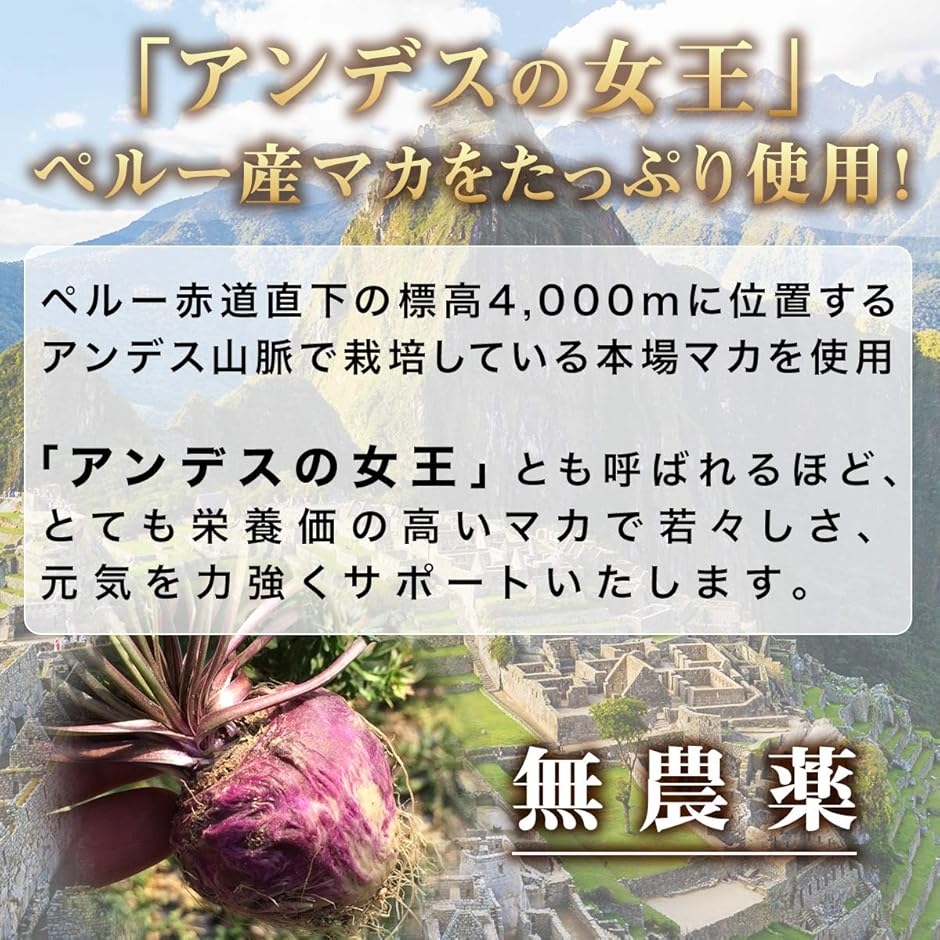 マカと亜鉛の恵み サプリ JAS有機マカ 19 980mg 亜鉛酵母 3 150mg サプリメント 90粒 30日分 MDM (マカサプリ) | ブランド登録なし | 03