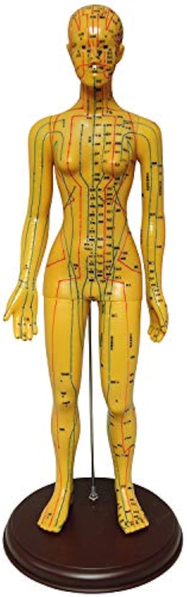 人体模型 ツボ 針灸 鍼灸経穴模型 経絡 モデル 整体 マッサージ 学習用 52.5cm 女性 タイプ( 女性 ソフトビニール タイプ)