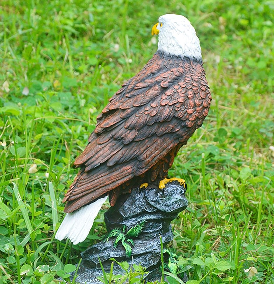 害鳥対策 30cm級 鷹 ホーク 置物 スズメ カラス ムクドリ ハト