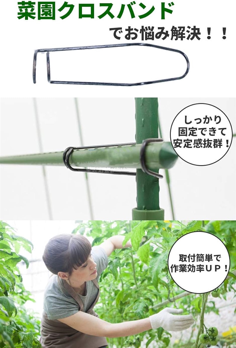 菜園クロスバンド 支柱 固定 ジョイント 家庭菜園 農作業 園芸 園芸